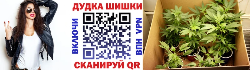 Наркошоп купить Альфа ПВП  МЕТАДОН  Меф  Амфетамин  ГАШИШ  Марихуана  Кокаин  Кувшиново
