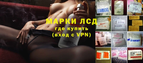 стаф Гусев