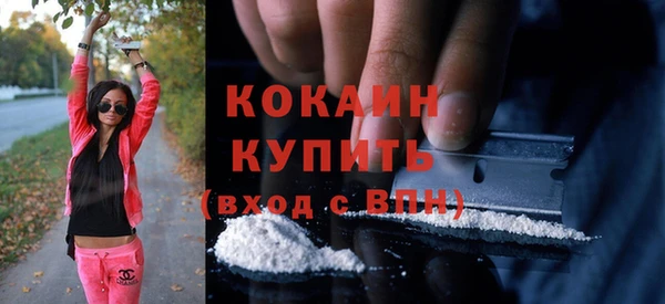 стаф Гусев