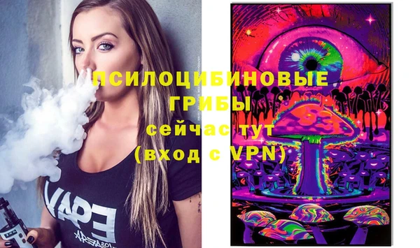 соль ск Гусь-Хрустальный