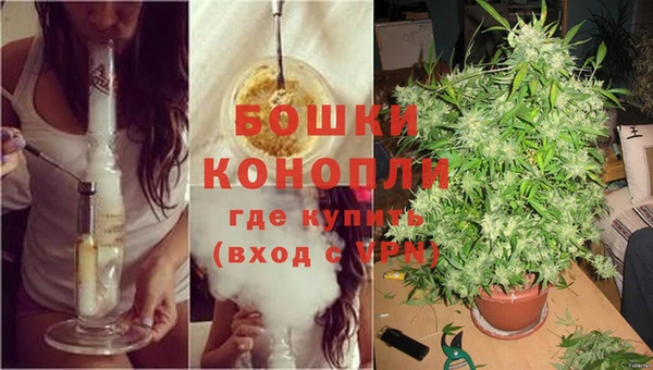 дживик Гусиноозёрск