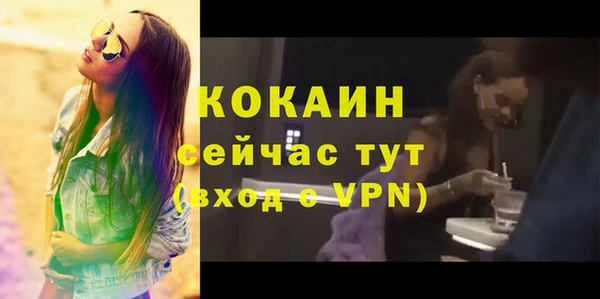 соль ск Гусь-Хрустальный