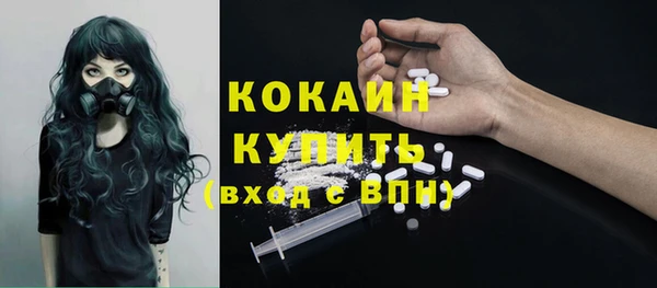 дживик Гусиноозёрск