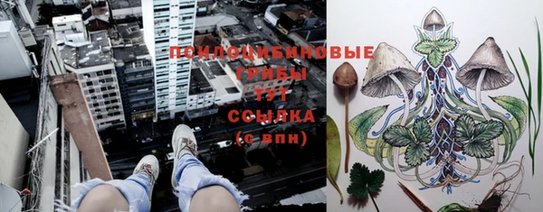 стаф Гусев