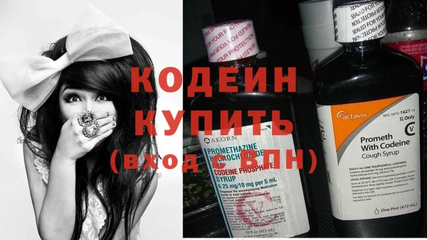 стаф Гусев