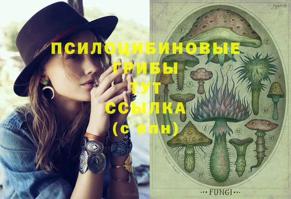 соль ск Гусь-Хрустальный