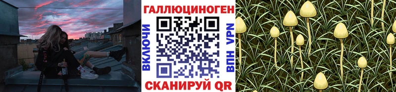 Купить закладки  Кувшиново  Псилоцибиновые грибы GOLDEN TEACHER 
