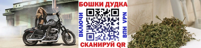 Купить  Кувшиново  Конопля план 